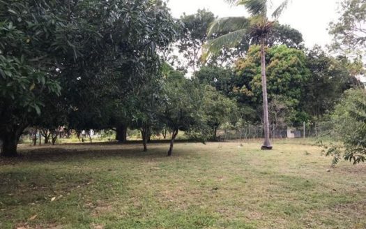 SE VENDE TERRENO EN GORGONA – MLS 15718