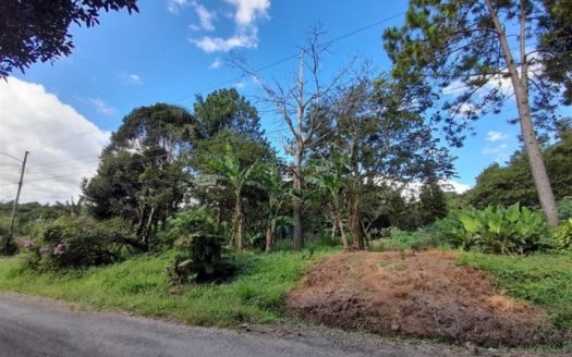 LOTE EN PALMIRA EN VENTA, LA CASA DE SUS SUEÑOS LO ESPERA – MLS 19020