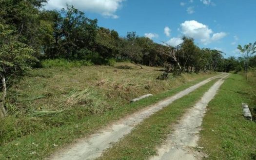 LOTE DE VENTA EN EL ESPINO SAN CARLOS PANAMA – MLS 11526