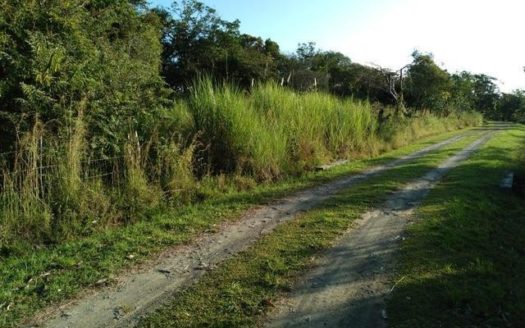 LOTE DE VENTA EN EL ESPINO SAN CARLOS PANAMA – MLS 11526