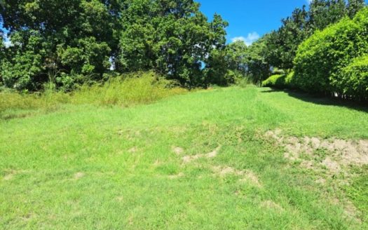 Lote en Venta en Las Lajas, a 5 km de Coronado – MLS 19186