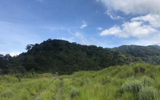 TERRENO PLANO SERENO EN VENTA CON VISTAS A LA MONTAÑA – MLS 19216