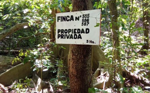 Finca en Isla Taboga – MLS 21926
