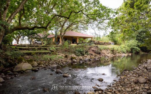 Finca de 17 acres con vistas al río a un precio ideal para una venta rápida – MLS 21910