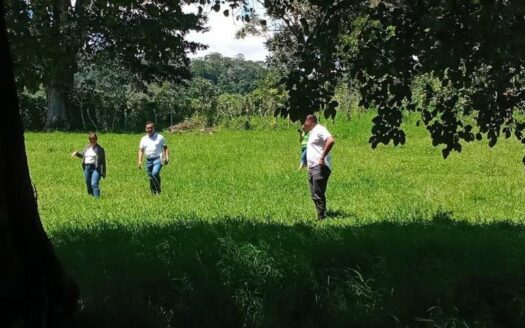 SE VENDE TERRENO EN VOLCÁN CHIRIQUI TISINGAL – MLS 20794