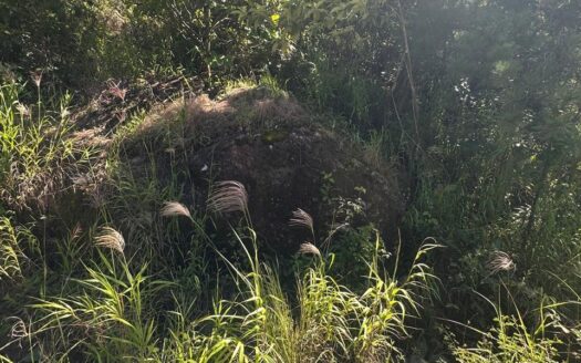 SE VENDE TERRENO EN VOLCÁN CHIRIQUI TISINGAL – MLS 20794