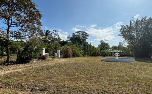 SE VENDE CASA CON TERRENO EN PENONOME – MLS 21883