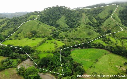 Finca de 90 Hectareas de Buena Ubicación en Cambutal, Los Santos – MLS 21755