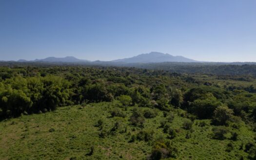 FINCA EN SAN ANDRÉS 195 HECTÁREAS – MLS 20620