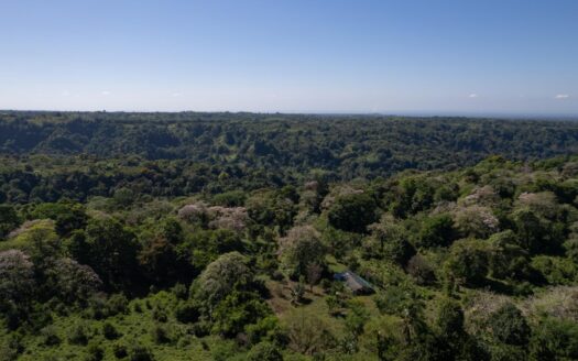 FINCA EN SAN ANDRÉS 195 HECTÁREAS – MLS 20620