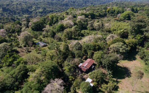 FINCA EN SAN ANDRÉS 195 HECTÁREAS – MLS 20620