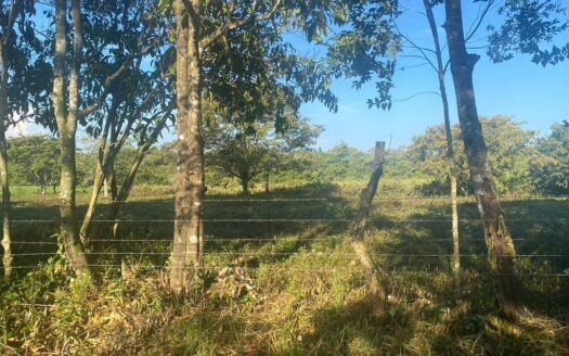 TERRENO EN POTRERILLOS ABAJO – MLS 20639