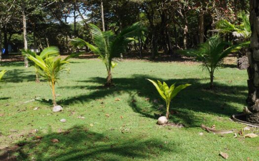 Amplio terreno de playa en venta en Playa Nanzal – MLS 21435
