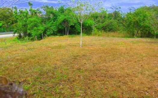Lote Frente Interamericana en Alquiler San Carlos – MLS 11998