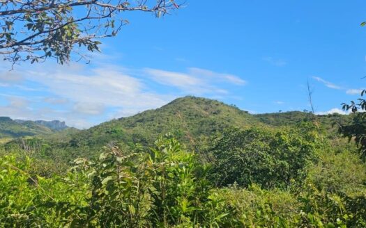 Finca de 5.9 Hectáreas en Venta en La Pintada – MLS 20604