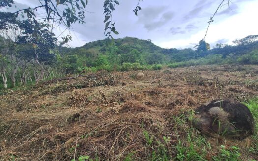 Finca de 5.9 Hectáreas en Venta en La Pintada – MLS 20604
