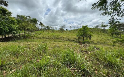 En venta finca de 4.5 hectáreas en Bugaba Chiriquí – MLS 22022