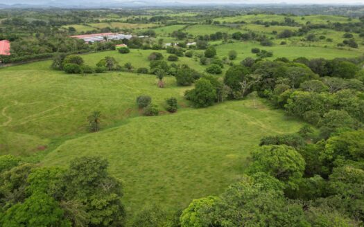 TERRENO PREMIUM COMERCIAL Y RESIDENCIAL – 51 HA, EL ARADO, LA CHORRERA – MLS 22015
