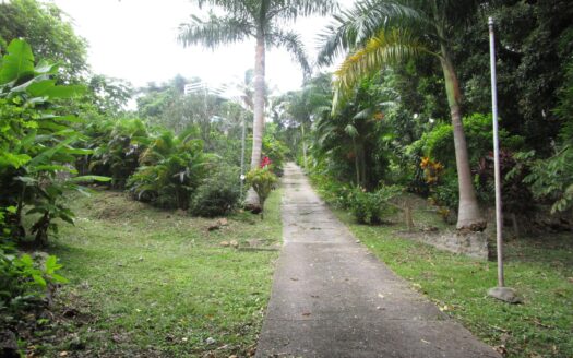 Venta de terreno en Isla Taboga – MLS 22039