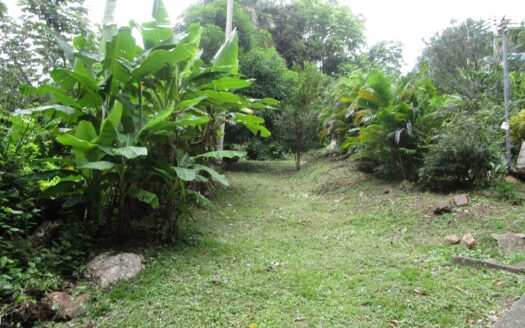 Venta de terreno en Isla Taboga – MLS 22039