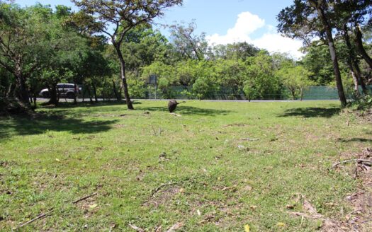 Descubre el lote de tus sueños – El Valle Anton – MLS 21610