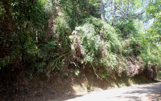 Terreno en venta en Cerro Azul – MLS 20369