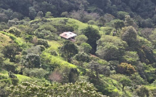 Finca en Caldera, Boquete – MLS 21569