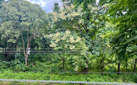 FINCA EN BUENOS AIRES DE CHAME – MLS 21470