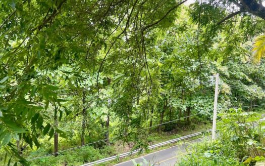 FINCA EN BUENOS AIRES DE CHAME – MLS 21470