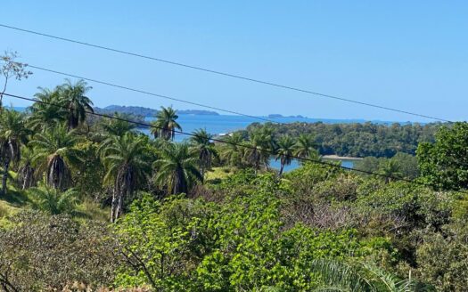 1 Hectárea en Boca Chica Panamá con Impresionantes Vistas – MLS 21414