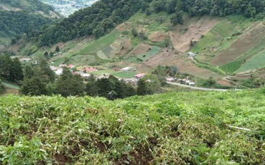 OPORTUNIDAD DE ORO – GRAN PROPIEDAD DE 20 ACRES – MLS 17546