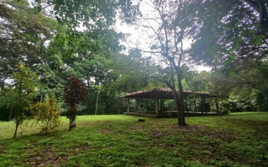 EXHUBERANTE PROPIEDAD EN VENTA CERCA DEL PUEBLO DE CAMBUTAL – MLS 19082