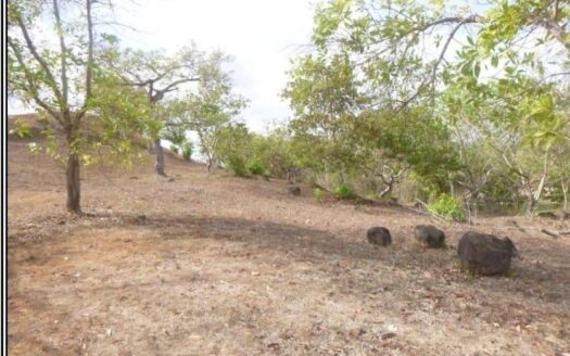 Terreno en el Valle de Santa Catalina, Valle de Antón – MLS 20841