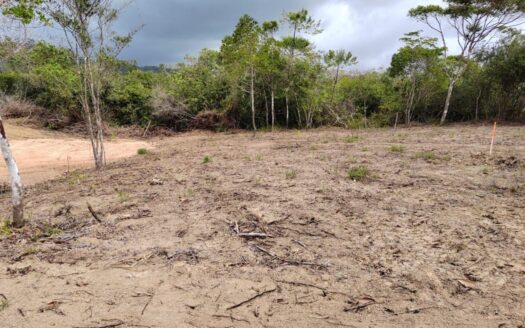 Venta de Lote en Penonomé – MLS 20536