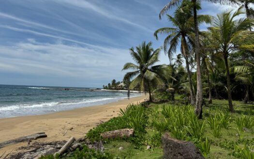 Terreno frente al mar de 4HAS en Palenque, Colón – MLS 20658