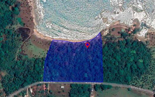 Terreno frente al mar de 4HAS en Palenque, Colón – MLS 20658