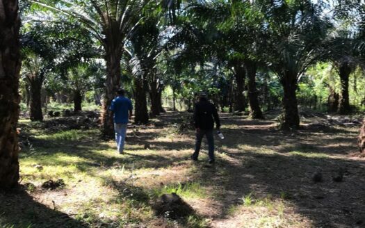 Isla privada de 64,3 hectáreas en venta – MLS 21130