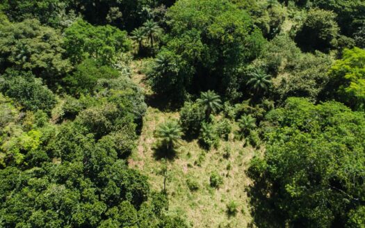 Amplio terreno en venta en Las Lomas – MLS 21128