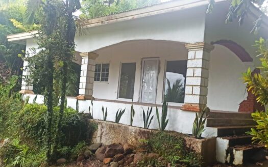 Península privada con casa y acceso al mar en Boca Chica – MLS 21102