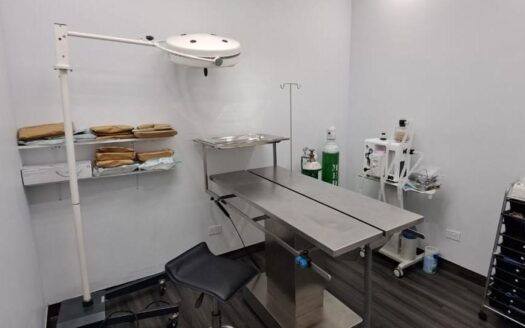 Se vende negocio veterinario en Panamá – MLS 19328