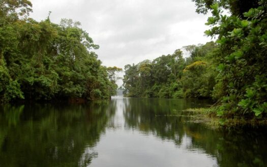 Hermosa Finca con Magníficas Vistas en Colón a orillas de Lago Gatún – MLS 21504