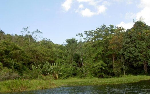 Hermosa Finca con Magníficas Vistas en Colón a orillas de Lago Gatún – MLS 21504