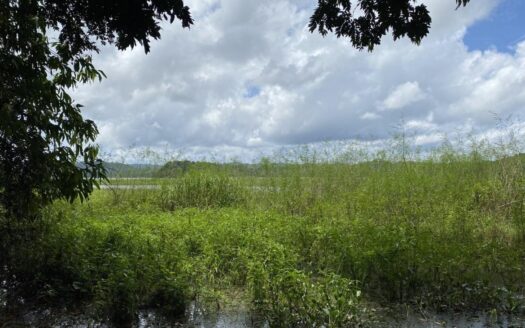 Hermosa Finca con Magníficas Vistas en Colón a orillas de Lago Gatún – MLS 21504