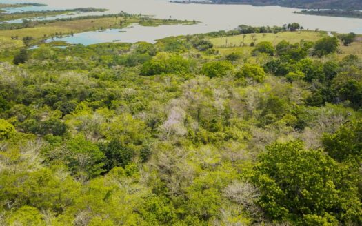 Extenso Terreno con Vistas Espectaculares al Lago Gatún – MLS 21503