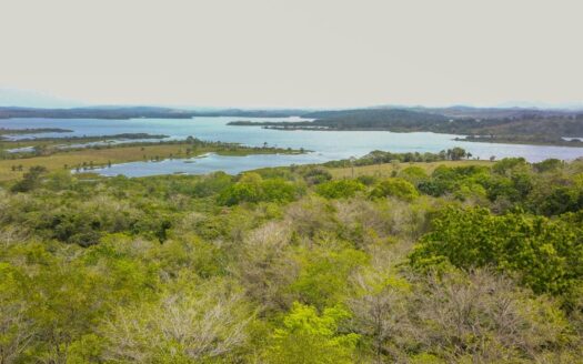 Extenso Terreno con Vistas Espectaculares al Lago Gatún – MLS 21503