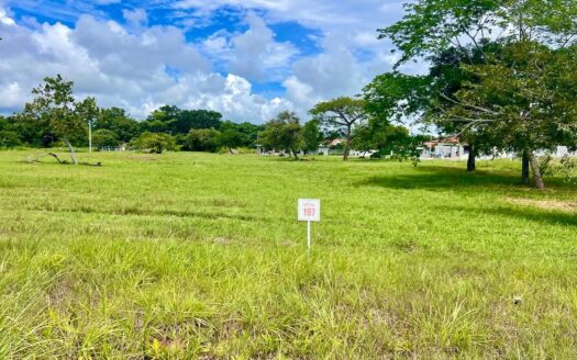 LOTE EN PALMERAS DEL GOLF – CORONADO – MLS 21494