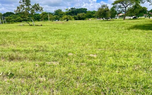 LOTE EN PALMERAS DEL GOLF – CORONADO – MLS 21494