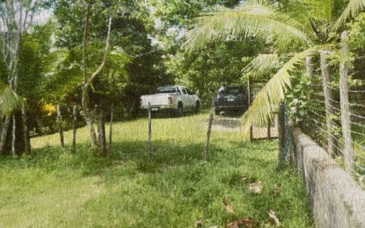 FINCA FORESTAL GANADERA Y URBANIZABLE 34 Hectáreas – MLS 21449