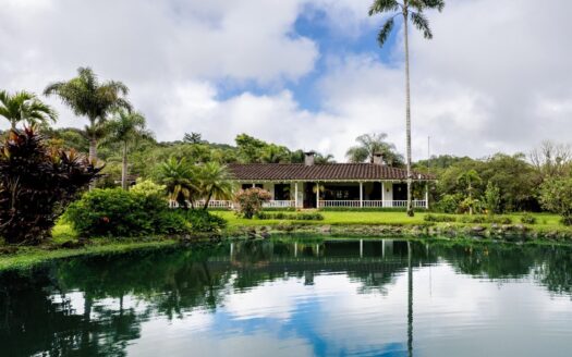 FINCA FAMILIAR DE LUJO EN VOLCAN – MLS 21362