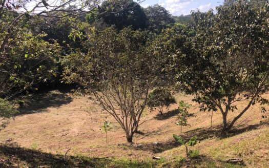 Se Vende Terreno en El Nazareno, La Chorrera – MLS 20542